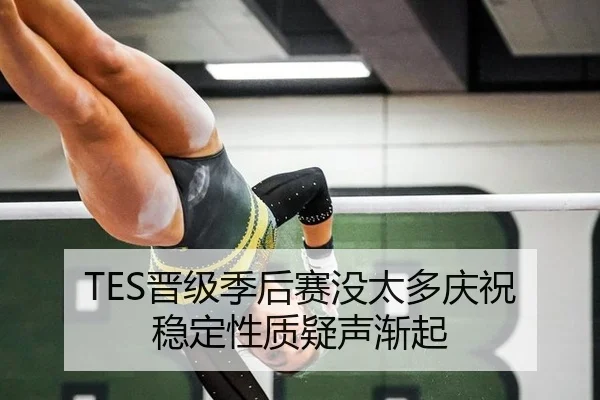 TES晋级季后赛没太多庆祝 稳定性质疑声渐起